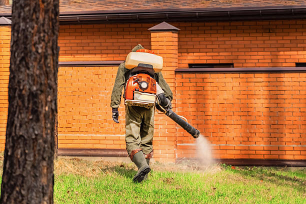 Trusted Cockroach Control service in Crawfordville, FL - Nex Pest Control